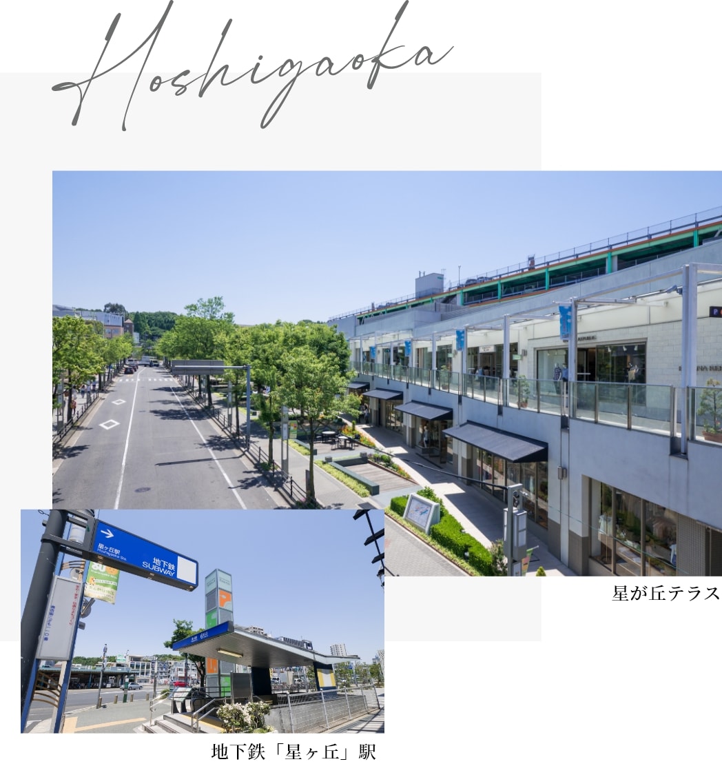星ヶ丘