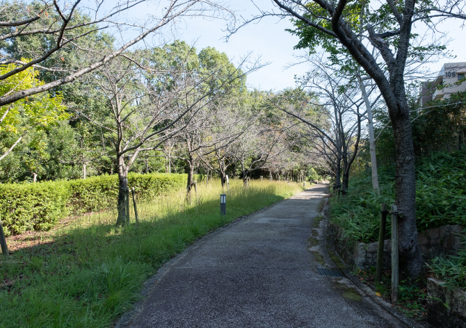 水晶山緑地